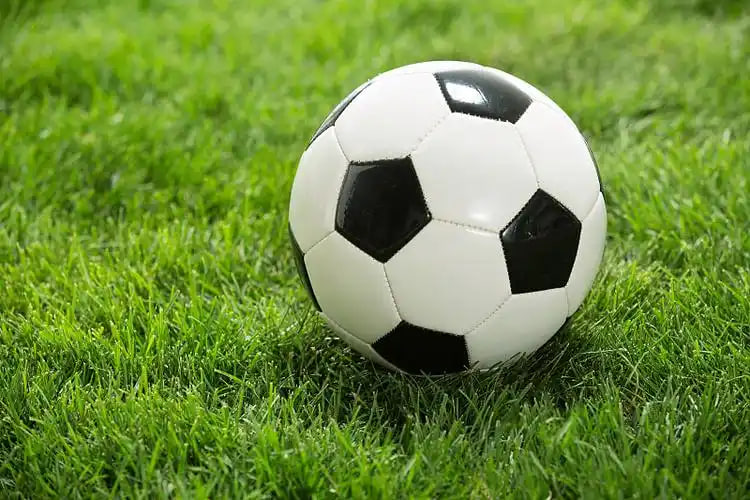 球迷观赛应用场景